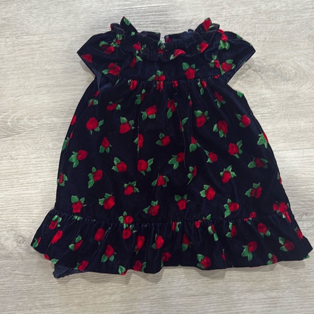 nwot // Janie & Jack Velvet Rose Floral Dress With Bloomers